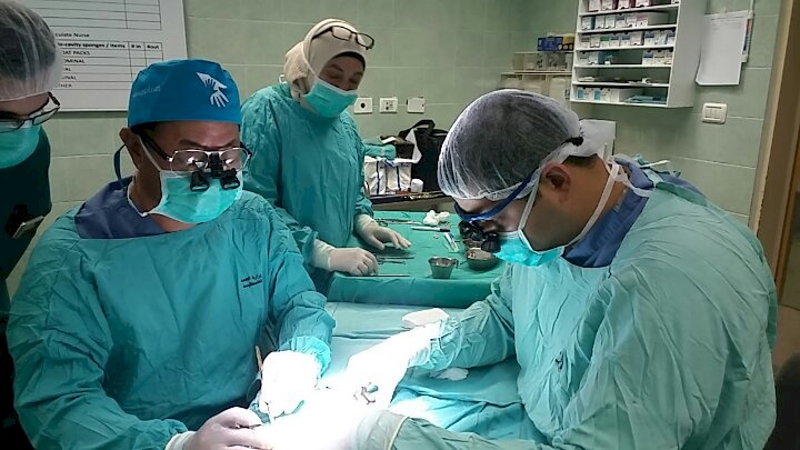 Texan Hand Surgeon Returns to Palestine